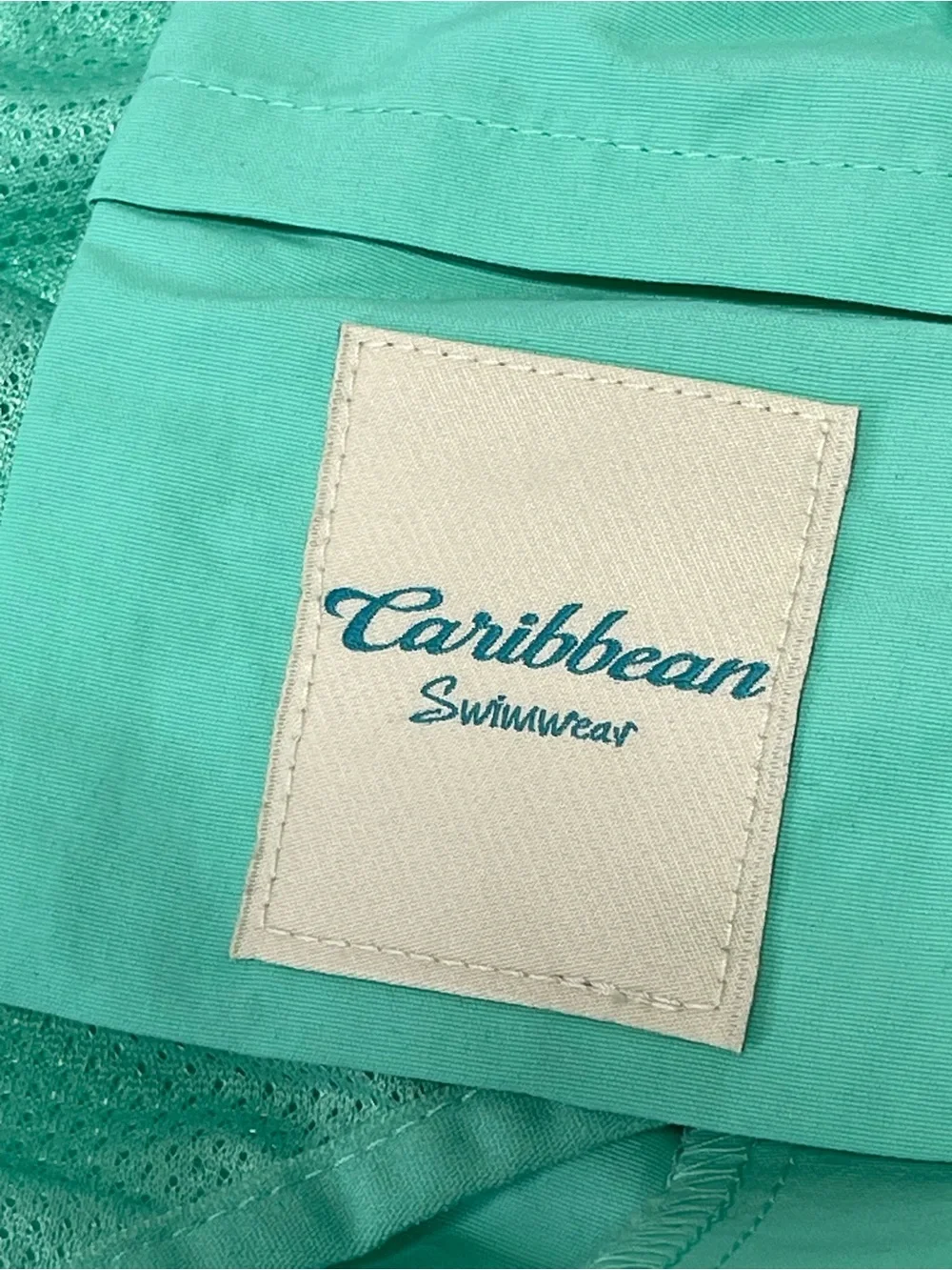 Caribbean swimwear Men's 4 Pockets 6 inch Shorts Swim Trunks, Pastel Green XXL